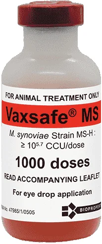 Vaxsafe MS — صورة عبوة المنتج البيطري