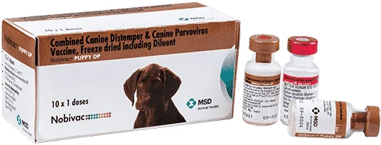 Nobivac Puppy DP — صورة عبوة المنتج البيطري