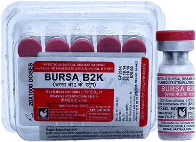 Bursa B2K — صورة عبوة المنتج البيطري