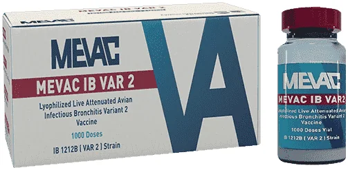 Mevac IB VAR2 — صورة عبوة المنتج البيطري