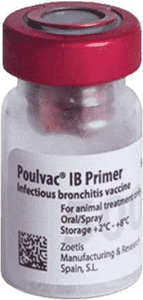 Poulvac IB Primer — صورة عبوة المنتج البيطري