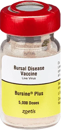 Bursine Plus — صورة عبوة المنتج البيطري