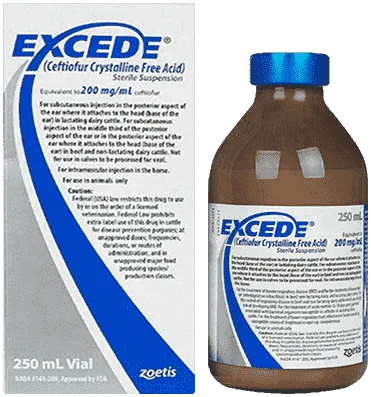 Excede — صورة عبوة المنتج البيطري