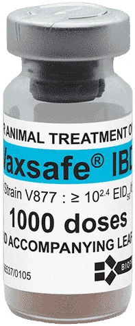 Vaxsafe IBD — صورة عبوة المنتج البيطري
