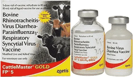 CattleMaster Gold FP 5 — صورة عبوة المنتج البيطري