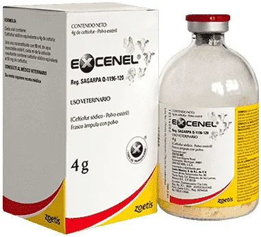 Excenel — صورة عبوة المنتج البيطري