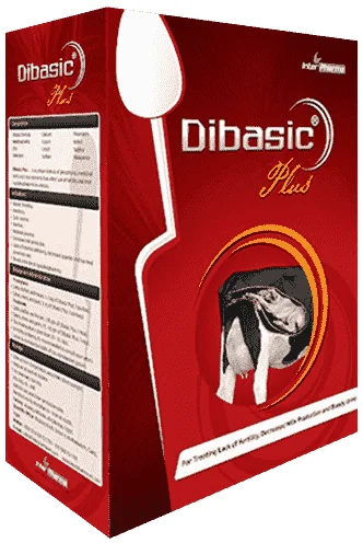 Dibasic Plus — صورة عبوة المنتج البيطري