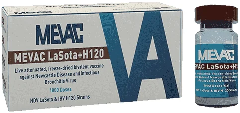 Mevac Lasota + H120 — صورة عبوة المنتج البيطري