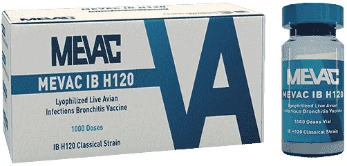 Mevac IB H120 — صورة عبوة المنتج البيطري