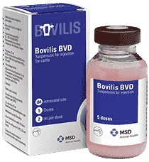 Bovilis BVD — صورة عبوة المنتج البيطري