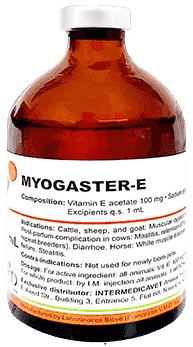 Myogaster-E — صورة عبوة المنتج البيطري