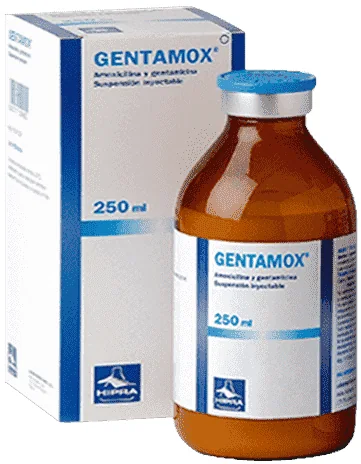 Gentamox — صورة عبوة المنتج البيطري