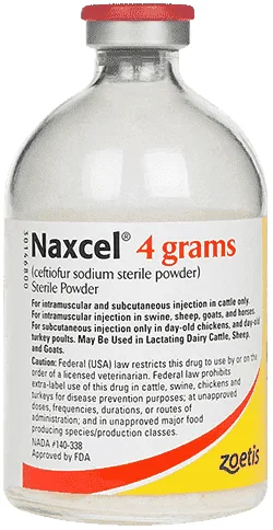 Naxcel — صورة عبوة المنتج البيطري