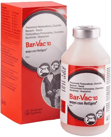 Bar-Vac 10 — صورة عبوة المنتج البيطري