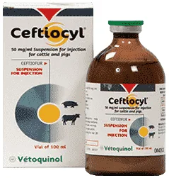 Ceftiocyl — صورة عبوة المنتج البيطري