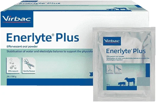 Enerlyte Plus — صورة عبوة المنتج البيطري