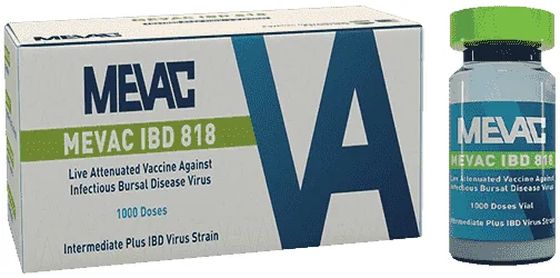 Mevac IBD 818 — صورة عبوة المنتج البيطري