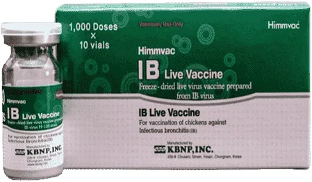 Himmvac IB — صورة عبوة المنتج البيطري