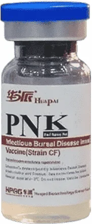 PNK — صورة عبوة المنتج البيطري