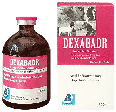 Dexabadr — صورة عبوة المنتج البيطري