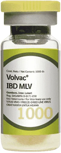 Volvac IBD MLV — صورة عبوة المنتج البيطري