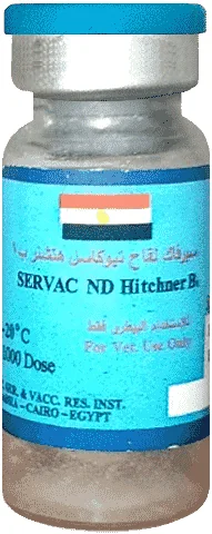 Servac ND Hitchner B1 — صورة عبوة المنتج البيطري