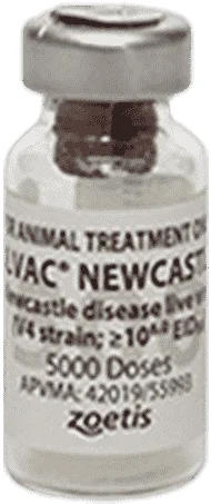 Poulvac Newcastle V4 — صورة عبوة المنتج البيطري