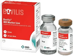 Bovilis IBR marker live — صورة عبوة المنتج البيطري