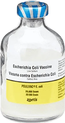 Poulvac E. coli — صورة عبوة المنتج البيطري