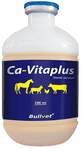 Ca-Vitaplus — صورة عبوة المنتج البيطري