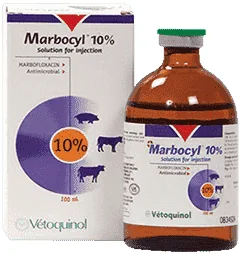 Marbocyl 10% — صورة عبوة المنتج البيطري