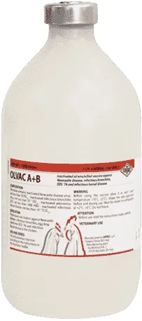 Olvac A+B — صورة عبوة المنتج البيطري