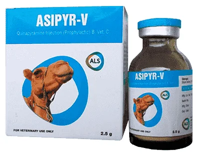 Asipyr-v — صورة عبوة المنتج البيطري