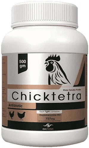 Chicktetra — صورة عبوة المنتج البيطري