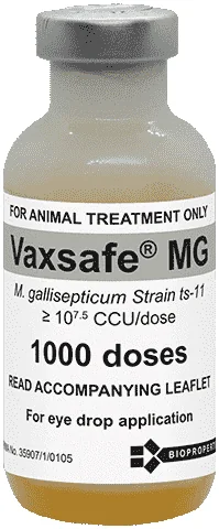 Vaxsafe MG — صورة عبوة المنتج البيطري