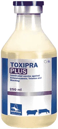 Toxipra Plus — صورة عبوة المنتج البيطري